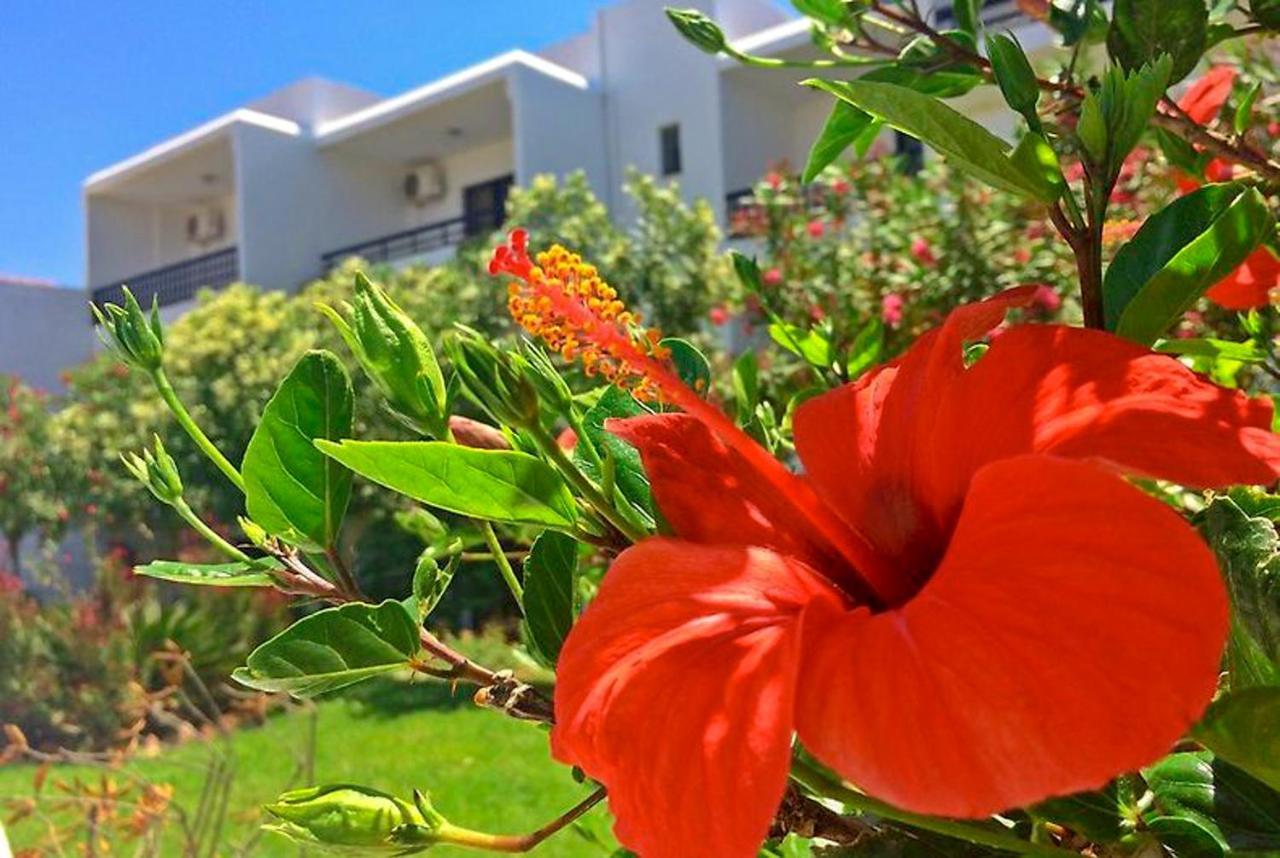 Debbi Appartments And Hotel Ialysos  Exterior foto